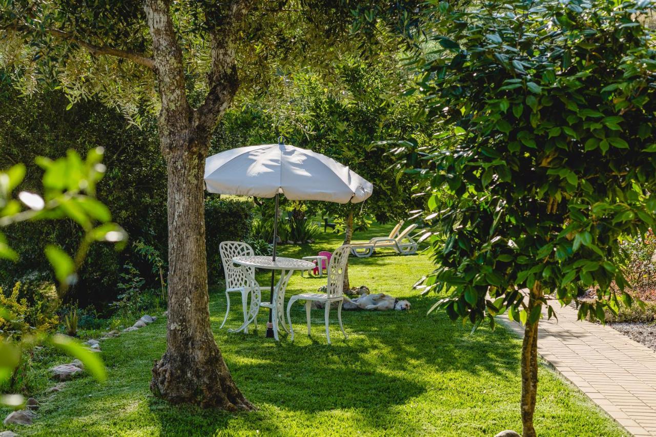 Magnolias Cottage Lousã Eksteriør bilde